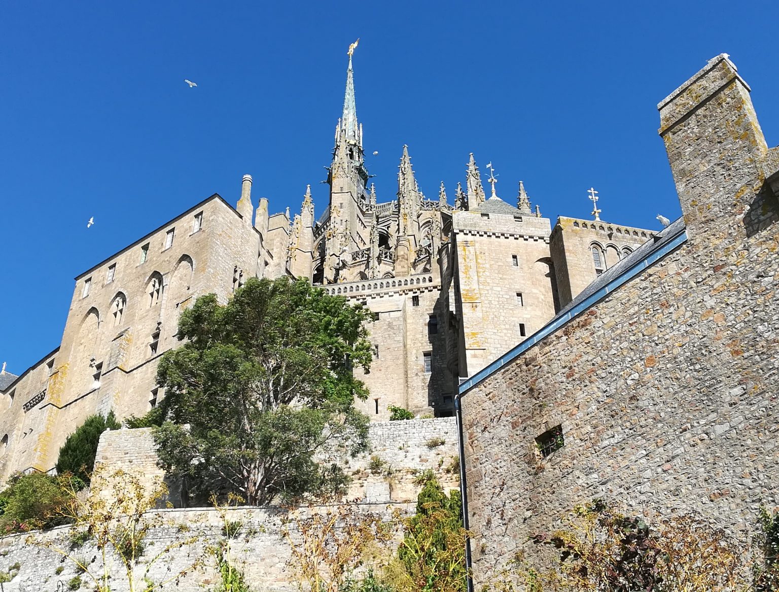 Mont SaintMichel SaintMalo Private Tour From Cherbourg France